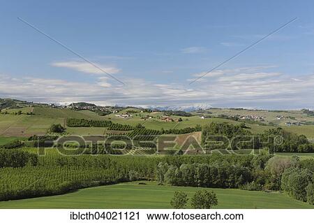 Stock Image - "Langhe landscape, UNESCO World Heritage, behind the snow-capped Alps, Piedmont, Italy, Europe". Fotosearch