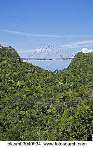 "Langkawi Sky Bridge, suspension bridge on Mount Mat Cincang, Langkawi, Sultanat Kedah, Malaysia, Asia" View Large Photo Image Picture - "Langkawi Sky Bridge, suspension bridge on Mount Mat Cincang, Langkawi, Sultanat Kedah, Malaysia, Asia". Fotosearch