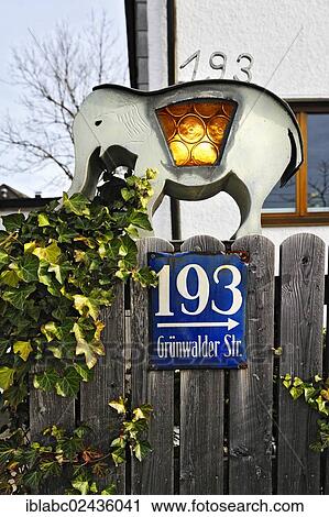 "Lantern shaped like an elephant with ivy (Hedera) on a fence, Munich, Bavaria, Germany, Europe" View Large Photo Image Stock Image - "Lantern shaped like an elephant with ivy (Hedera) on a fence, Munich, Bavaria, Germany, Europe". Fotosearch