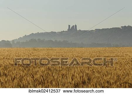 Stock Photo - Laon Cathedral in the morning mist, historic district on a limestone table mountain, Laon, Via Francigena, an ancient road from France to Rome, department of Aisne, Picardy region, France, Europe. Fotosearch