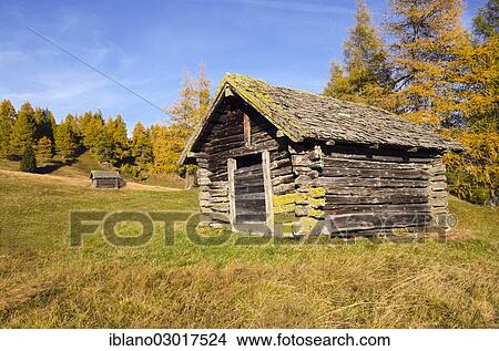 "Larch meadows with a hay barn, Vinaders, Obernbergtal, Tyrol, Austria, Europe" View Large Photo Image Picture - "Larch meadows with a hay barn, Vinaders, Obernbergtal, Tyrol, Austria, Europe". Fotosearch