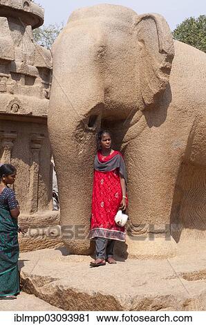 "Large freestanding elephant sculpture in the temple complex of Mahabalipuram, Mamallapuram, Mahabalipuram, Tamil Nadu, India, Asia" View Large Photo Image Stock Image - "Large freestanding elephant sculpture in the temple complex of Mahabalipuram, Mamallapuram, Mahabalipuram, Tamil Nadu, India, Asia". Fotosearch