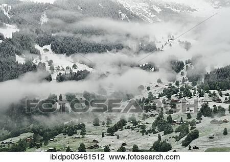"Late spring snow and fog cover the mountainside, Grindelwald, Canton of Bern, Switzerland, Europe" View Large Photo Image Stock Image - "Late spring snow and fog cover the mountainside, Grindelwald, Canton of Bern, Switzerland, Europe". Fotosearch
