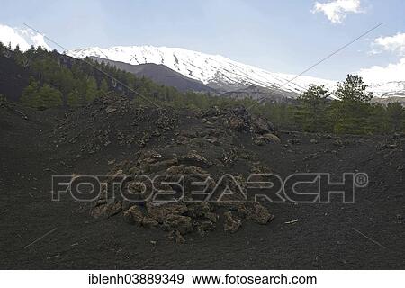 "Lava field at Mount Etna, Parco dell'Etna, Sicily, Italy, Europe" View Large Photo Image Stock Photo - "Lava field at Mount Etna, Parco dell'Etna, Sicily, Italy, Europe". Fotosearch