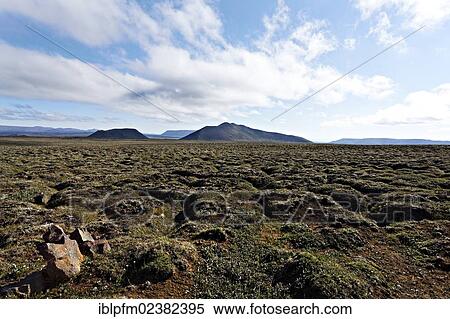 "Lava landscape, Iceland, Europe" View Large Photo Image Stock Photography - "Lava landscape, Iceland, Europe". Fotosearch