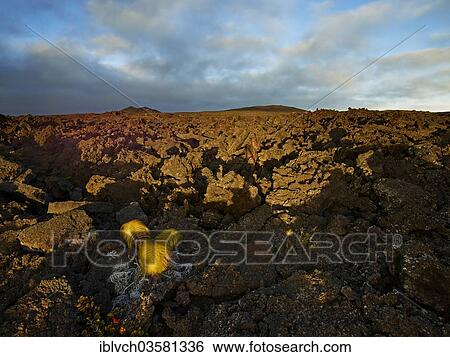 "Lava rocks in the last evening light, Hawaiʻi-Volcanoes-Nationalpark, USA, Hawaii, United States, North America" View Large Photo Image Stock Photograph - "Lava rocks in the last evening light, Hawaiʻi-Volcanoes-Nationalpark, USA, Hawaii, United States, North America". Fotosearch