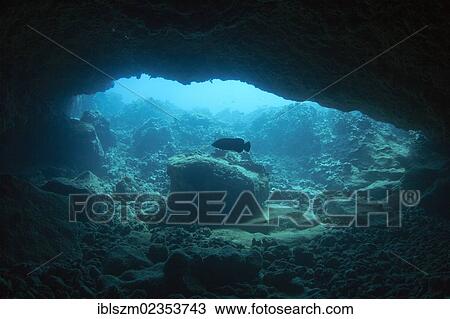 "Lava tube under water, Kohala Coast, Big Island, Hawaii, USA" View Large Photo Image Stock Image - "Lava tube under water, Kohala Coast, Big Island, Hawaii, USA". Fotosearch