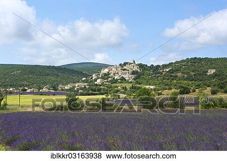 "Lavender field and village, Simiane la Rotonde, Provence, Region Provence-Alpes-Cote d? ÇÖAzur, France, Europe" View Large Photo Image Stock Photo - "Lavender field and village, Simiane la Rotonde, Provence, Region Provence-Alpes-Cote d? ÇÖAzur, France, Europe". Fotosearch