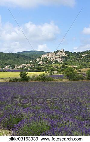 "Lavender field and village, Simiane la Rotonde, Provence, Region Provence-Alpes-Cote d? ÇÖAzur, France, Europe" View Large Photo Image Stock Photo - "Lavender field and village, Simiane la Rotonde, Provence, Region Provence-Alpes-Cote d? ÇÖAzur, France, Europe". Fotosearch