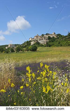 "Lavender field and village, Simiane la Rotonde, Provence, Region Provence-Alpes-Cote d? ÇÖAzur, France, Europe" View Large Photo Image Stock Photography - "Lavender field and village, Simiane la Rotonde, Provence, Region Provence-Alpes-Cote d? ÇÖAzur, France, Europe". Fotosearch