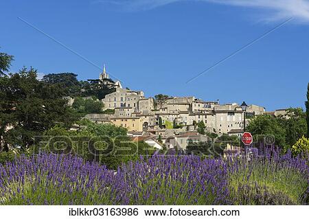 "Lavender field with village at back, Vaucluse, Provence, Region Provence-Alpes-Cote d? ÇÖAzur, France, Europe" View Large Photo Image Stock Photograph - "Lavender field with village at back, Vaucluse, Provence, Region Provence-Alpes-Cote d? ÇÖAzur, France, Europe". Fotosearch