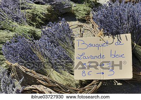 "Lavender for sale, Sault, Provence, Region Provence-Alpes-Cote d’Azur, France, Europe" View Large Photo Image Stock Image - "Lavender for sale, Sault, Provence, Region Provence-Alpes-Cote d’Azur, France, Europe". Fotosearch