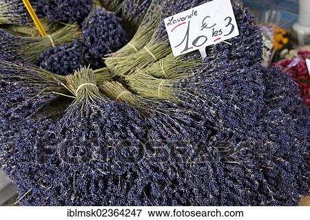 "Lavender, weekly market in Apt, Provence region, Departement Vaucluse, France, Europe" View Large Photo Image Stock Photo - "Lavender, weekly market in Apt, Provence region, Departement Vaucluse, France, Europe". Fotosearch