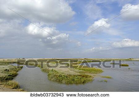 "Le Hourdel at the mouth of the Somme River, Le Hourdel, Departement Somme, Picardie, France, Europe" View Large Photo Image Stock Image - "Le Hourdel at the mouth of the Somme River, Le Hourdel, Departement Somme, Picardie, France, Europe". Fotosearch