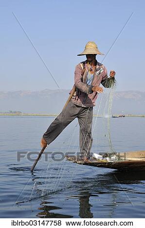 "Leg rower, fisherman with a net rowing standing up, Inle-See, Shan State, Myanmar, Burma, Asia" View Large Photo Image Stock Photo - "Leg rower, fisherman with a net rowing standing up, Inle-See, Shan State, Myanmar, Burma, Asia". Fotosearch