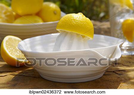 "Lemon Squeezer, homemade lemonade" View Large Photo Image Stock Image - "Lemon Squeezer, homemade lemonade". Fotosearch