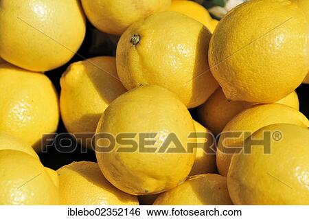 "Lemons (Citurs limon), weekly market, Tuebingen, Baden-Wuerttemberg, Germany, Europe" View Large Photo Image Stock Photograph - "Lemons (Citurs limon), weekly market, Tuebingen, Baden-Wuerttemberg, Germany, Europe". Fotosearch