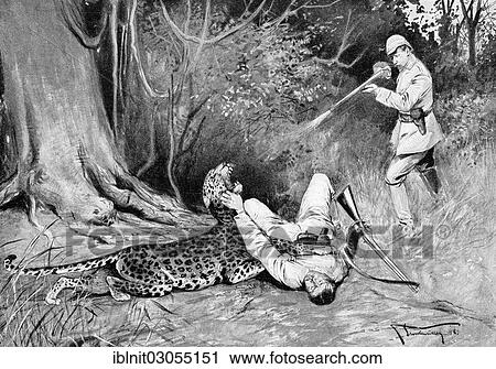 "Leopard hunting in German South-West Africa, illustration from the Yearbook of Modern Art in Master Woodcuts, 1900, Namibia, Africa" View Large Photo Image Stock Image - "Leopard hunting in German South-West Africa, illustration from the Yearbook of Modern Art in Master Woodcuts, 1900, Namibia, Africa". Fotosearch