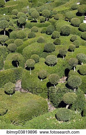"Les Jardins suspendus de Marqueyssac gardens, boxwood garden, Vezac, Departement Dordogne, Perigord Region, France, Europe" View Large Photo Image Stock Photograph - "Les Jardins suspendus de Marqueyssac gardens, boxwood garden, Vezac, Departement Dordogne, Perigord Region, France, Europe". Fotosearch