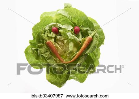 "Lettuce (Lactuca sativa), with carrots (Daucus carota) and radishes (Raphanus sativus), shape of a smiling face" View Large Photo Image Stock Photo - "Lettuce (Lactuca sativa), with carrots (Daucus carota) and radishes (Raphanus sativus), shape of a smiling face". Fotosearch