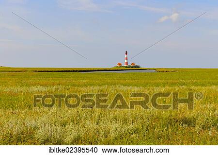 "Leuchtturm Westerheversand lighthouse, Westerhever, North Sea, North Frisia, Schleswig-Holstein, northern Germany, Germany, Europe" View Large Photo Image Stock Image - "Leuchtturm Westerheversand lighthouse, Westerhever, North Sea, North Frisia, Schleswig-Holstein, northern Germany, Germany, Europe". Fotosearch