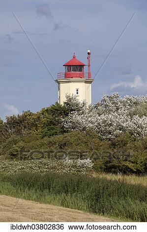 "Leuchtturm Westermarkelsdorf lighthouse, Fehmarn island, Schleswig-Holstein, Germany, Europe" View Large Photo Image Stock Photograph - "Leuchtturm Westermarkelsdorf lighthouse, Fehmarn island, Schleswig-Holstein, Germany, Europe". Fotosearch