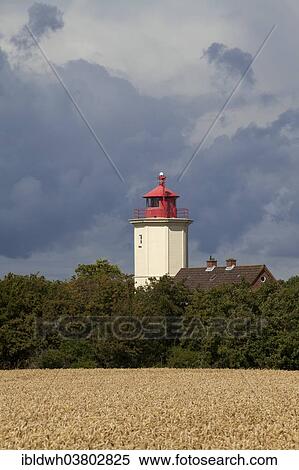 "Leuchtturm Westermarkelsdorf lighthouse, Fehmarn island, Schleswig-Holstein, Germany, Europe" View Large Photo Image Stock Photography - "Leuchtturm Westermarkelsdorf lighthouse, Fehmarn island, Schleswig-Holstein, Germany, Europe". Fotosearch