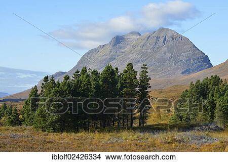 "Liathach, Glen Torridon, Beinn Eighe National Nature Reserve, SNH, Kinlochewe, Scottish Highlands, Wester Ross, Scotland, United Kingdom, Europe" View Large Photo Image Picture - "Liathach, Glen Torridon, Beinn Eighe National Nature Reserve, SNH, Kinlochewe, Scottish Highlands, Wester Ross, Scotland, United Kingdom, Europe". Fotosearch