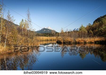 "Libellenteich pond in autumn, Purgschachen Moor, Buchstein, Ardning, Styria, Austria, Europe" View Large Photo Image Stock Photo - "Libellenteich pond in autumn, Purgschachen Moor, Buchstein, Ardning, Styria, Austria, Europe". Fotosearch