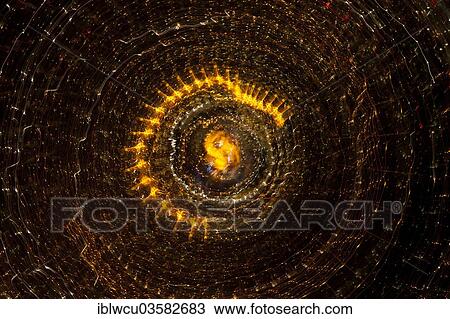 Stock Image - Light trails radiating outwards. Fotosearch