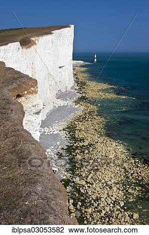 Stock Image - "Lighthouse and white limestone cliffs at Beachy Head, Seven Sisters Country Park, East Sussex, England, United Kingdom, Europe". Fotosearch