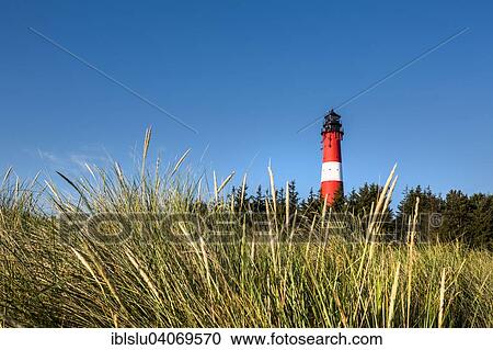 "Lighthouse, Hornum, Sylt, North Frisia, Schleswig-Holstein, Germany, Europe" View Large Photo Image Stock Image - "Lighthouse, Hornum, Sylt, North Frisia, Schleswig-Holstein, Germany, Europe". Fotosearch