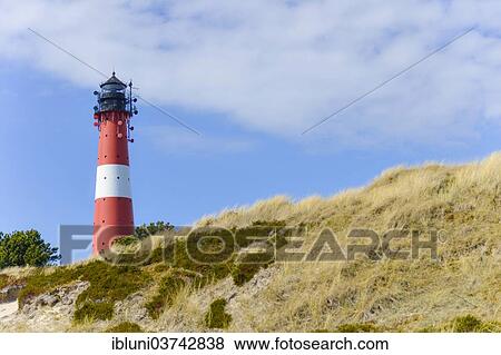"Lighthouse, Hornum, Sylt, North Frisian Islands, Schleswig-Holstein, Germany, Europe" View Large Photo Image Stock Photo - "Lighthouse, Hornum, Sylt, North Frisian Islands, Schleswig-Holstein, Germany, Europe". Fotosearch