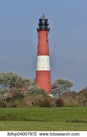 Stock Image - "Lighthouse, island of Pellworm, North Frisia, Schleswig-Holstein, Germany, Europe". Fotosearch