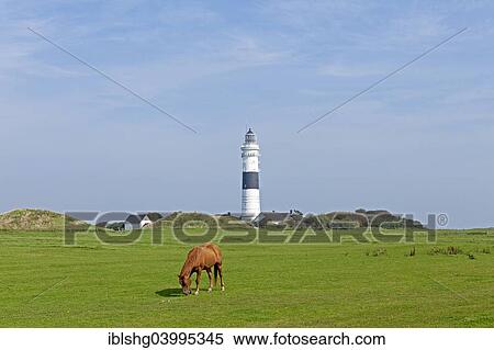 "Lighthouse, Kampen, Sylt, Schleswig-Holstein, Germany, Europe" View Large Photo Image Stock Photography - "Lighthouse, Kampen, Sylt, Schleswig-Holstein, Germany, Europe". Fotosearch