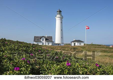 "Lighthouse of Hirtshals with outbuildings, Hirtshals, Kommune Hjorring, Region Nordjylland, Jutland, Denmark, Europe" View Large Photo Image Stock Photo - "Lighthouse of Hirtshals with outbuildings, Hirtshals, Kommune Hjorring, Region Nordjylland, Jutland, Denmark, Europe". Fotosearch