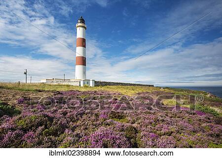 "Lighthouse of Tarbat Ness, Wilkhaven, near Portmahomack, northern coast of Scotland, Easter Ross, United Kingdom, Europe" View Large Photo Image Picture - "Lighthouse of Tarbat Ness, Wilkhaven, near Portmahomack, northern coast of Scotland, Easter Ross, United Kingdom, Europe". Fotosearch