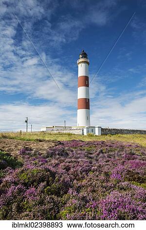 "Lighthouse of Tarbat Ness, Wilkhaven, near Portmahomack, northern coast of Scotland, Easter Ross, United Kingdom, Europe" View Large Photo Image Stock Image - "Lighthouse of Tarbat Ness, Wilkhaven, near Portmahomack, northern coast of Scotland, Easter Ross, United Kingdom, Europe". Fotosearch