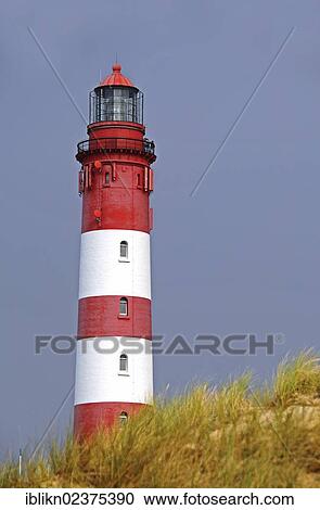 Stock Image - "Lighthouse on Amrum island, North Sea, Schleswig-Holstein, Germany, Europe". Fotosearch