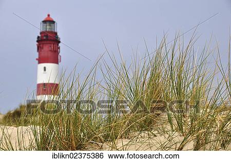 "Lighthouse on Amrum island, North Sea, Schleswig-Holstein, Germany, Europe" View Large Photo Image Stock Photograph - "Lighthouse on Amrum island, North Sea, Schleswig-Holstein, Germany, Europe". Fotosearch