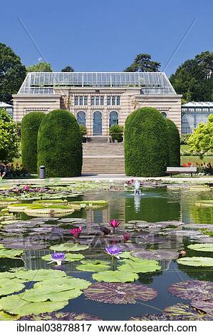 "Lily pond, Moorish villa, Zoological and Botanical Garden Wilhelma, Stuttgart, Baden-Wurttemberg, Germany, Europe" View Large Photo Image Stock Photo - "Lily pond, Moorish villa, Zoological and Botanical Garden Wilhelma, Stuttgart, Baden-Wurttemberg, Germany, Europe". Fotosearch