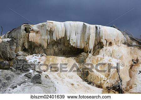 "Limestone terraces of Mammoth Hot Springs, Yellowstone National Park, Wyoming, USA, America" View Large Photo Image Stock Photo - "Limestone terraces of Mammoth Hot Springs, Yellowstone National Park, Wyoming, USA, America". Fotosearch