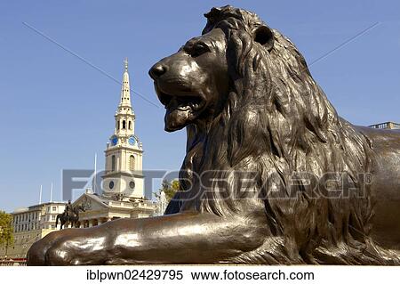 "Lion statue with St Martin-in-the-Fields, Trafalgar Square, London, England, United Kingdom, Europe" View Large Photo Image Stock Photography - "Lion statue with St Martin-in-the-Fields, Trafalgar Square, London, England, United Kingdom, Europe". Fotosearch