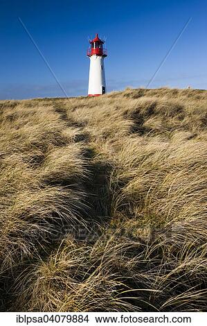 "List West Lighthouse, Ellenbogen, Sylt, North Frisia, Schleswig-Holstein, Germany, Europe" View Large Photo Image Picture - "List West Lighthouse, Ellenbogen, Sylt, North Frisia, Schleswig-Holstein, Germany, Europe". Fotosearch