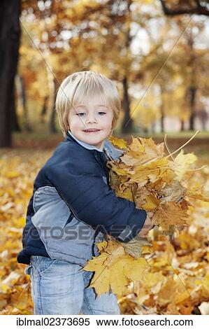 "Little boy, three years, with an arm full of autumn leaves" View Large Photo Image Stock Photography - "Little boy, three years, with an arm full of autumn leaves". Fotosearch