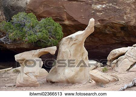 "Little Elephant rock formation, Pothole Point, The Needles District, Canyonlands National Park, Utah, United States of America, USA" View Large Photo Image Stock Image - "Little Elephant rock formation, Pothole Point, The Needles District, Canyonlands National Park, Utah, United States of America, USA". Fotosearch