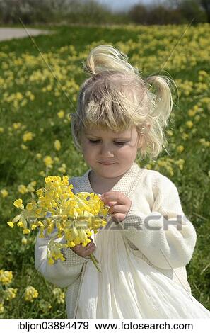 "Little girl, 2 years, wearing a summer dress, with a bouquet of cowslip, Sweden, Europe" View Large Photo Image Stock Photo - "Little girl, 2 years, wearing a summer dress, with a bouquet of cowslip, Sweden, Europe". Fotosearch