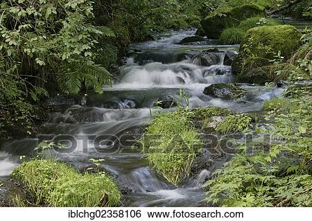 "Little river, Auvergne volcanoes natural park, Haute Loire, France, Europe" View Large Photo Image Stock Photograph - "Little river, Auvergne volcanoes natural park, Haute Loire, France, Europe". Fotosearch