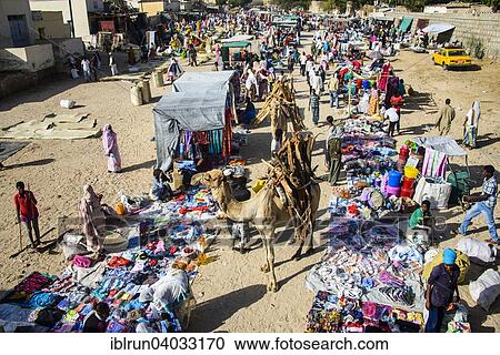 Stock Image - "Loaded camel walking through the colourful Monday market of Keren, Eritrea, Africa". Fotosearch