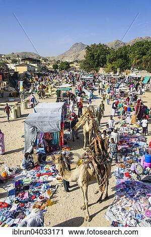 "Loaded camel walking through the colourful Monday market of Keren, Eritrea, Africa" View Large Photo Image Stock Image - "Loaded camel walking through the colourful Monday market of Keren, Eritrea, Africa". Fotosearch